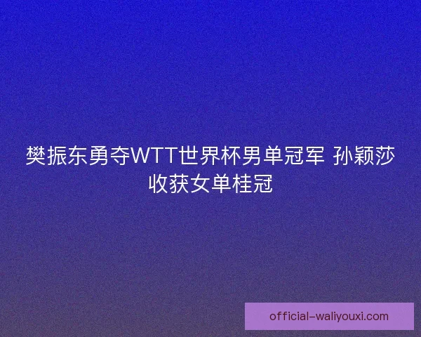 樊振东勇夺WTT世界杯男单冠军 孙颖莎收获女单桂冠