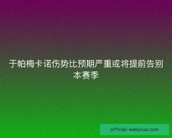 于帕梅卡诺伤势比预期严重或将提前告别本赛季
