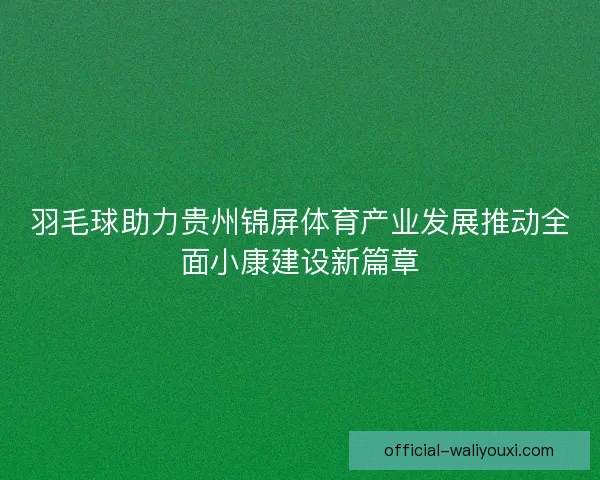 羽毛球助力贵州锦屏体育产业发展推动全面小康建设新篇章