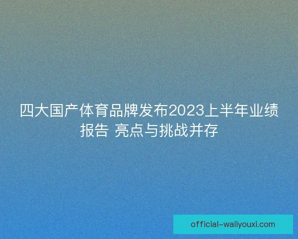 四大国产体育品牌发布2023上半年业绩报告 亮点与挑战并存 四大国产体育品牌发布2023上半年业绩报告 亮点与挑战并存